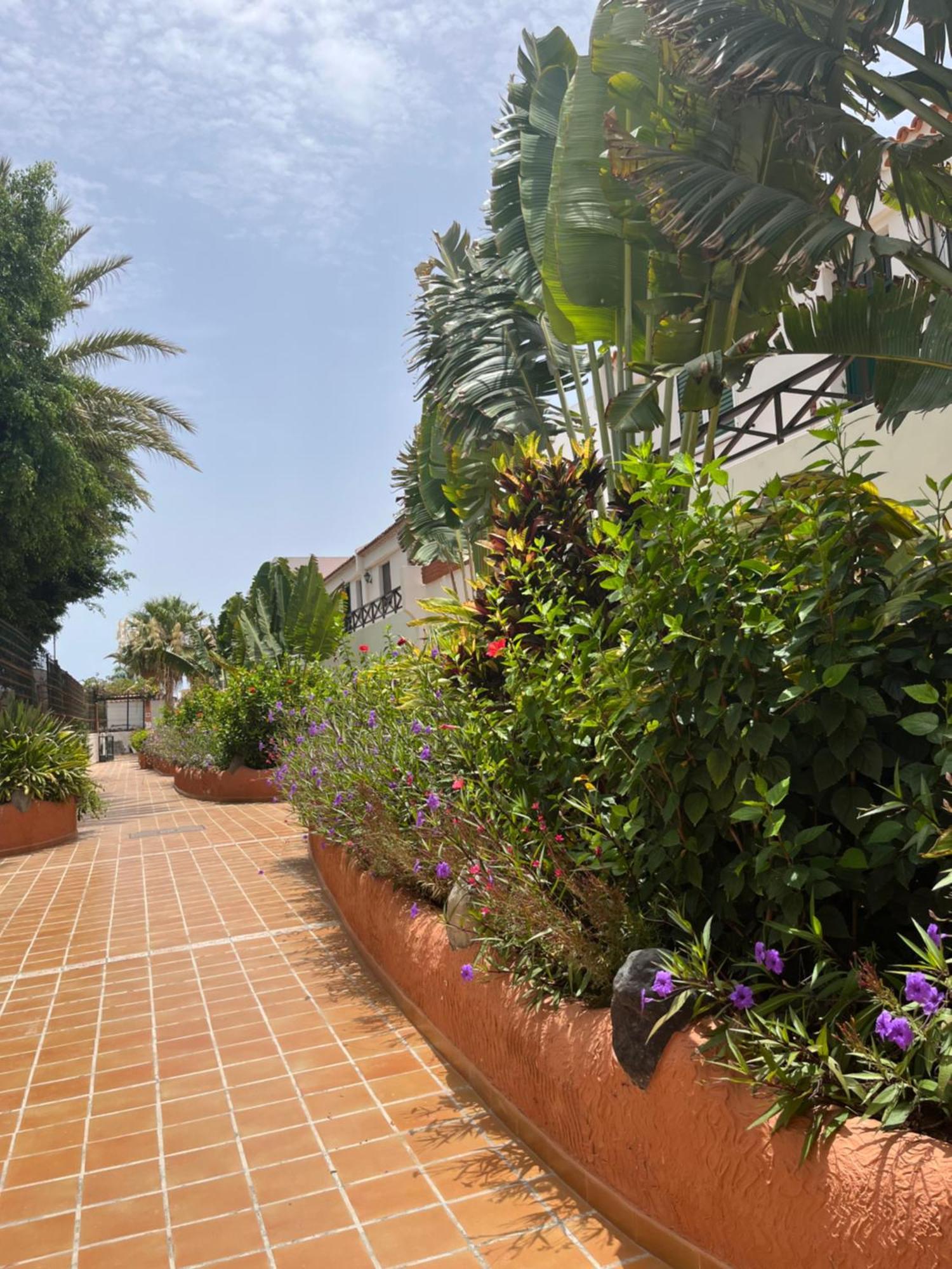 Apartamento Parque Don Jose 128 Costa del Silencio Exterior foto