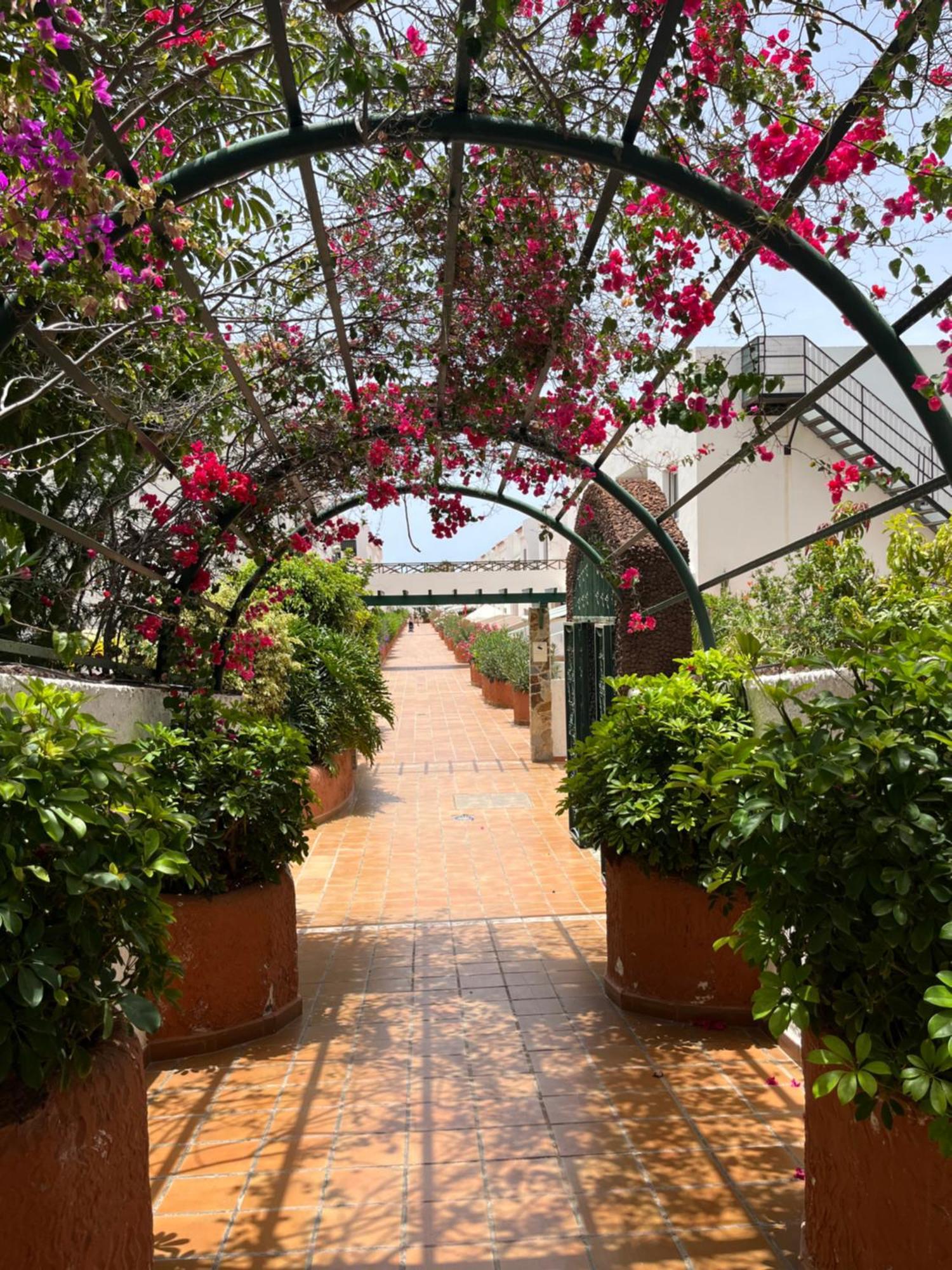 Apartamento Parque Don Jose 128 Costa del Silencio Exterior foto